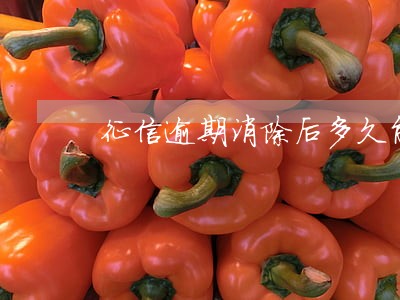 征信逾期消除后多久能贷款 征信逾期消除后多久能贷款