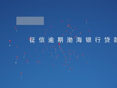 征信逾期渤海银行贷款 征信逾期渤海银行贷款