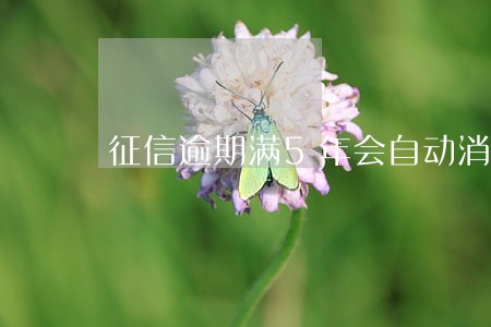 征信逾期满5年会自动消除吗 征信逾期满5年会自动消除吗