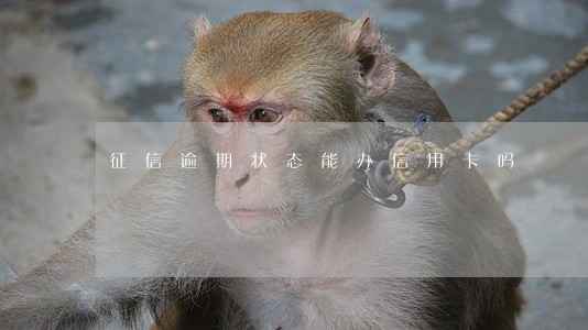 征信逾期状态能办信用卡吗 征信逾期状态能办信用卡吗
