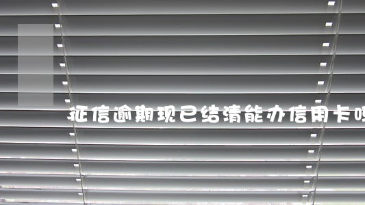 征信逾期现已结清能办信用卡吗