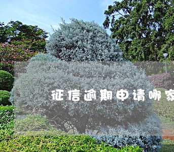 征信逾期申请哪家银行卡号 征信逾期申请哪家银行卡号