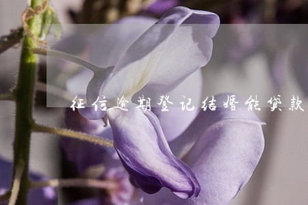 征信逾期登记结婚能贷款么 征信逾期登记结婚能贷款么