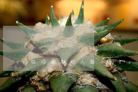 征信逾期的人能办etc信用卡吗 征信逾期的人能办etc信用卡吗