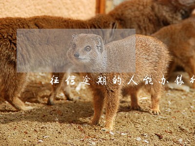 征信逾期的人能办银行卡吗