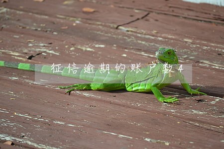 征信逾期的账户数4