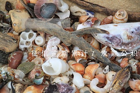 征信逾期累计7次能公积金贷款么 征信逾期累计7次能公积金贷款么
