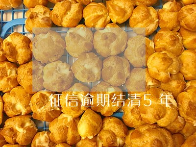 征信逾期结清5年 征信逾期结清5年
