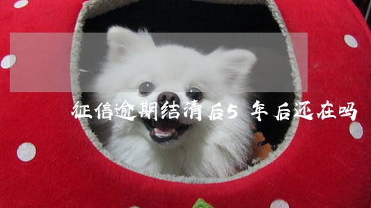 征信逾期结清后5年后还在吗 征信逾期结清后5年后还在吗