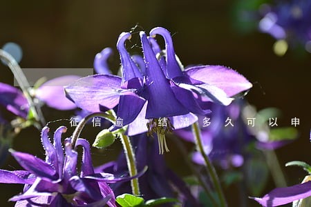 征信逾期结清多久可以申请信用卡 征信逾期结清多久可以申请信用卡
