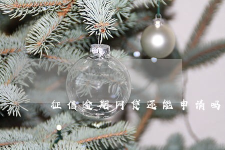 征信逾期网贷还能申请吗 征信逾期网贷还能申请吗