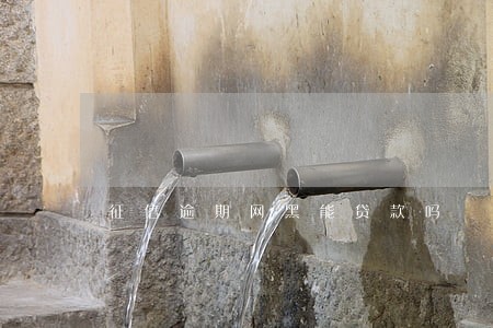 征信逾期网黑能贷款吗 征信逾期网黑能贷款吗