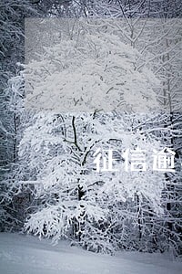 征信逾期能不能网贷 征信逾期能不能网贷