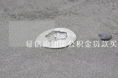 征信逾期能公积金贷款买房吗 征信逾期能公积金贷款买房吗