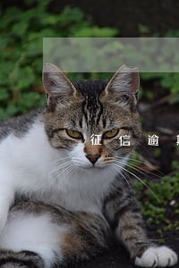 征信逾期能公积金贷款吗 征信逾期能公积金贷款吗