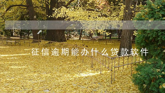 征信逾期能办什么贷款软件 征信逾期能办什么贷款软件