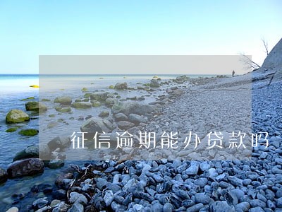 征信逾期能办贷款吗 征信逾期能办贷款吗