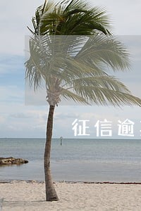 征信逾期能否打电话银行消除 征信逾期能否打电话银行消除