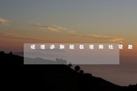 征信逾期能在信用社贷款吗 征信逾期能在信用社贷款吗