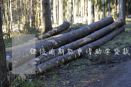 征信逾期能申请助学贷款
