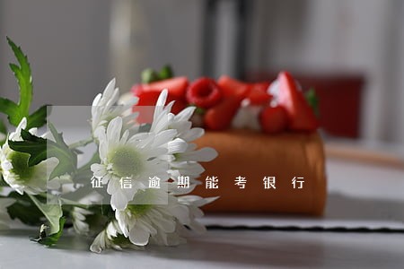 征信逾期能考银行 征信逾期能考银行
