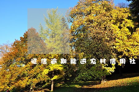 征信逾期能进农村信用社 征信逾期能进农村信用社