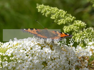 征信逾期能进农村信用社吗 征信逾期能进农村信用社吗