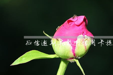 征信逾期花影响信用卡提额吗 征信逾期花影响信用卡提额吗