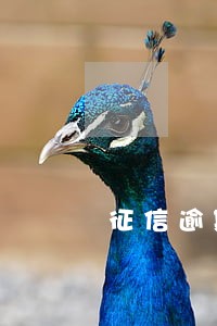 征信逾期被拒怎么申请信用卡