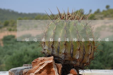 征信逾期要消除去哪个银行 征信逾期要消除去哪个银行