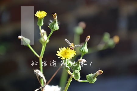 征信逾期记录1 征信逾期记录1