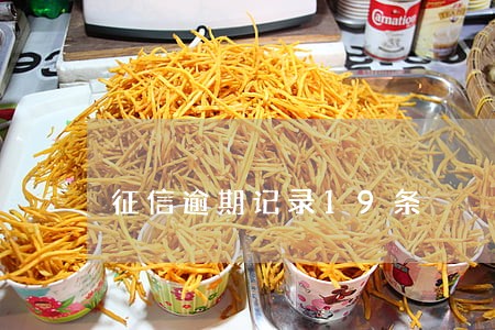 征信逾期记录19条 征信逾期记录19条