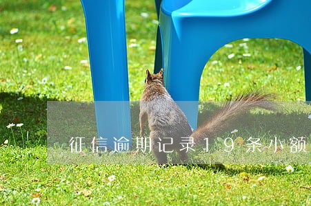 征信逾期记录19条小额怎么 征信逾期记录19条小额怎么