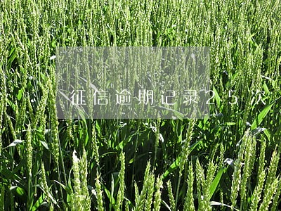 征信逾期记录25次 征信逾期记录25次