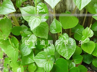 征信逾期记录2年 征信逾期记录2年