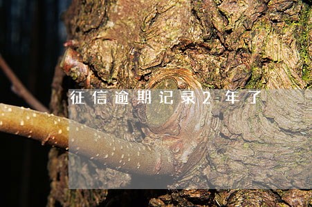 征信逾期记录2年了 征信逾期记录2年了