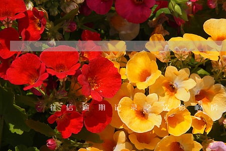 征信逾期记录2次影响房贷吗 征信逾期记录2次影响房贷吗
