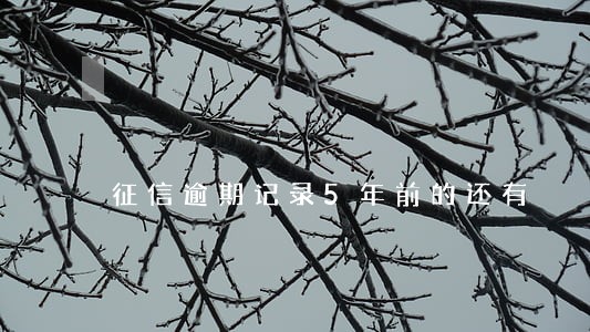 征信逾期记录5年前的还有 征信逾期记录5年前的还有