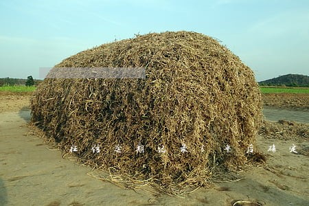 征信逾期记录5年后确定消除吗 征信逾期记录5年后确定消除吗