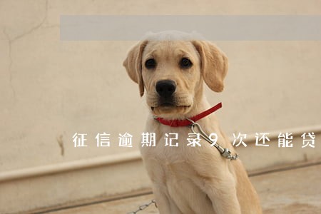 征信逾期记录9次还能贷款吗 征信逾期记录9次还能贷款吗
