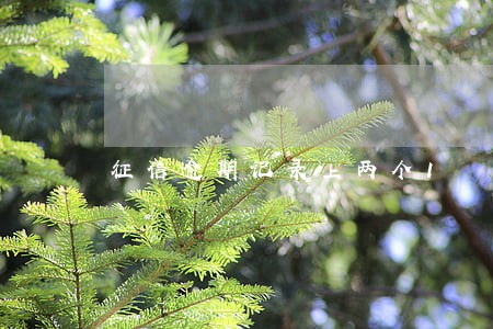 征信逾期记录上两个1 征信逾期记录上两个1