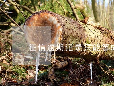 征信逾期记录只能等5年吗 征信逾期记录只能等5年吗
