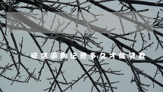 征信逾期记录多久才能贷款 征信逾期记录多久才能贷款