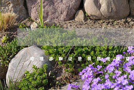 征信逾期记录导致无法贷款