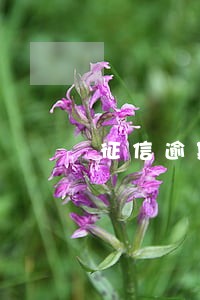征信逾期记录带7多久消除 征信逾期记录带7多久消除
