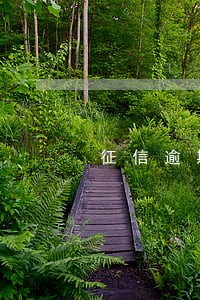 征信逾期记录延长到20年了 征信逾期记录延长到20年了