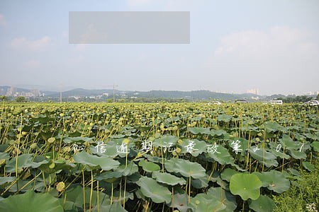 征信逾期记录政策2019 征信逾期记录政策2019