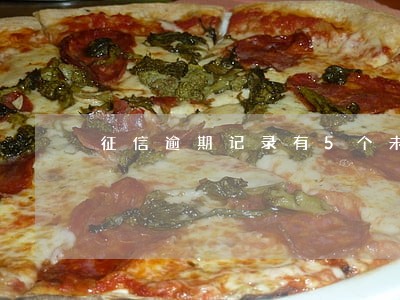 征信逾期记录有5个未超过30天