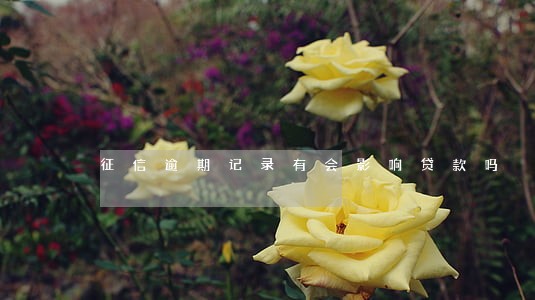征信逾期记录有会影响贷款吗 征信逾期记录有会影响贷款吗