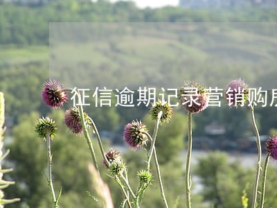 征信逾期记录营销购房贷款 征信逾期记录营销购房贷款